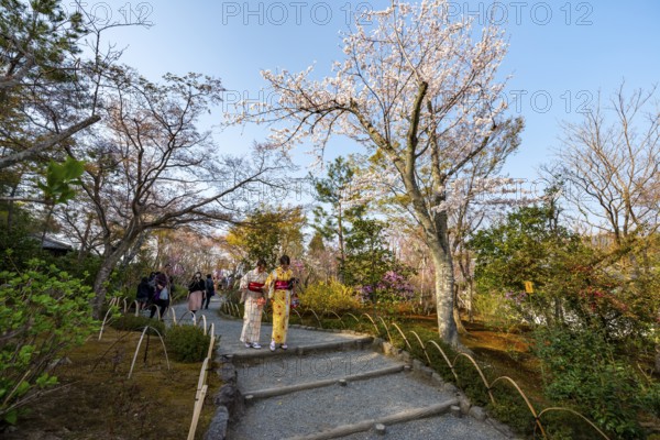 Visitors to Sogenchi Teien Japanese Garden with Blooming Cherry Trees, Tenryu-ji, Zen Buddhist