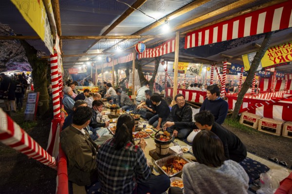 Cherry Blossom Festival, Hanami, Japanese eating grilled food at a long table, evening mood, Hirano