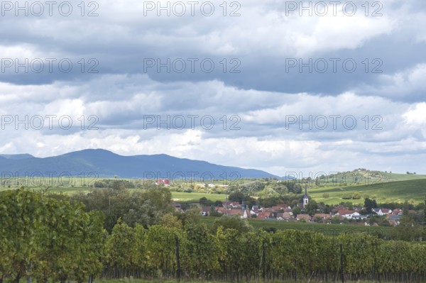 View of the wine town of Göcklingen, on the left the Palatinate Forest, on the right the Kleine