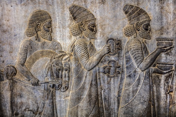 Relief detail of the delegation of peoples bringing gifts to Darius on the stairs of the Apadana