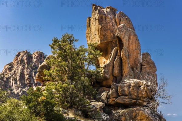 Calanche, bizarre rock formations 400 m above sea level, UNESCO World Heritage Site, Corsica,