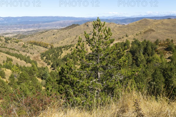 Countryside landscape view from Puerto de Sos hills south of Sos del Rey Catolico, Cinco Villas