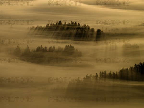 Fog, clouds of fog, trees, back light, sunrise, aerial view, Loisach-Lake Kochel-Moore, Upper