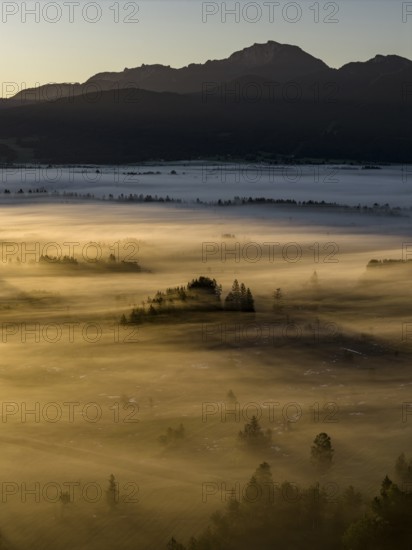 Fog, clouds of fog, trees, back light, sunrise, mountains, aerial view, Loisach-Lake Kochel-Moore,