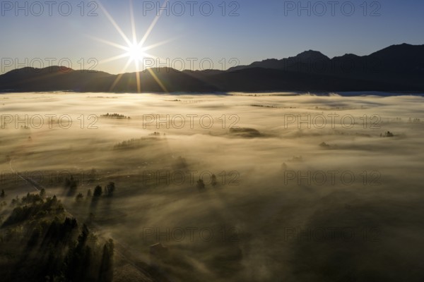 Fog, clouds of fog, trees, back light, sunrise, mountains, aerial view, Loisach-Lake Kochel-Moore,