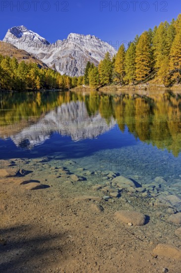 Mountain lake, reflection, mountains, larch forest, autumn discoloration, autumn, sunny, Lake