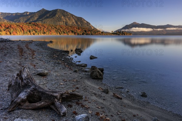 Mountain lake, reflection, morning light, mountains, shore, autumn, autumn color, Walchensee, Upper