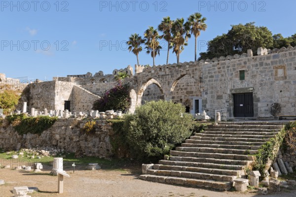 Entrance, staircase, palm trees, fragments from Roman times, olive tree, Neratzia fortress, also