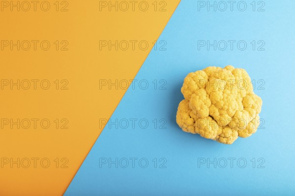 Yellow Cauliflower on blue and orange pastel paper background. Top view, flat lay, copy space.