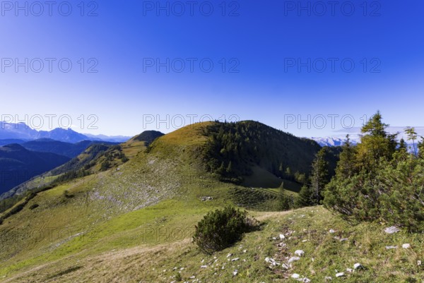 View from Rossfeld to Großer Radl, Postalm, Osterhorn Group, Salzkammergut, Province of Salzburg,