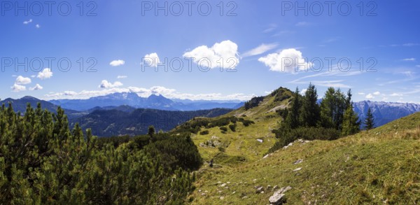 Hiking trail to Egelseehörndl, Postalm, Osterhorn Group, Salzkammergut, Province of Salzburg,