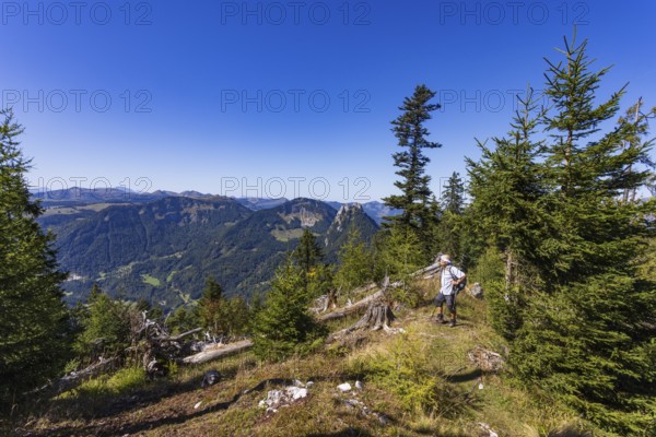 Hikers on the way to Rettenkogel, Postalm, Osterhorn Group, Salzkammergut, Province of Salzburg,
