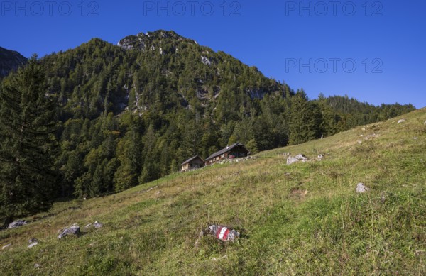 Sonntagskaralm on the way to Rettenkogel, Strobl, Postalm, Osterhorn Group, Salzkammergut, Province