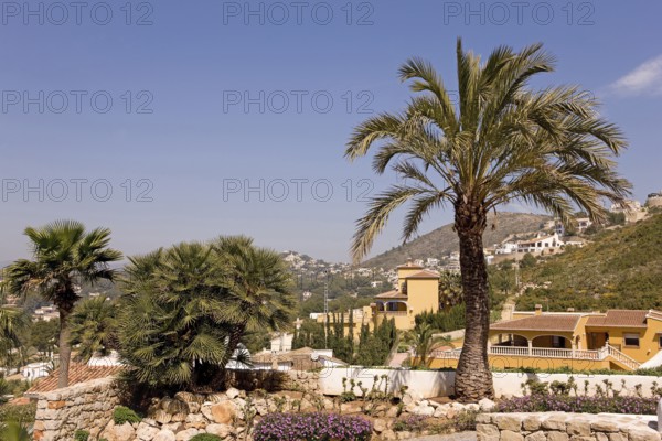 Mediterranean landscape, palm trees, buildings, Moraira, former fishing village, pearl of the Costa
