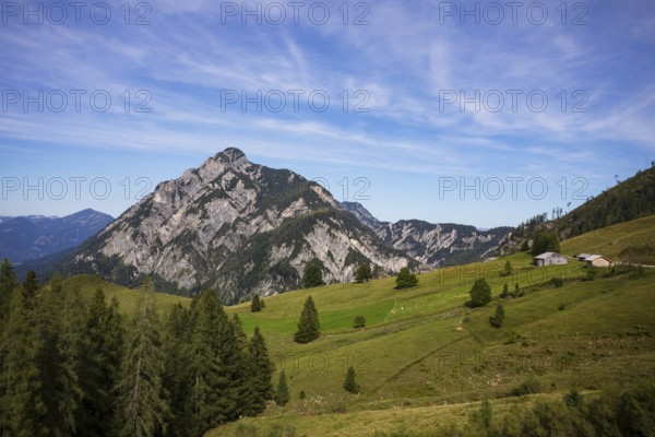 Alpine meadow with Rettenegghütte and Rinnkogel, Postalm, Osterhorn Group, Salzkammergut, Province