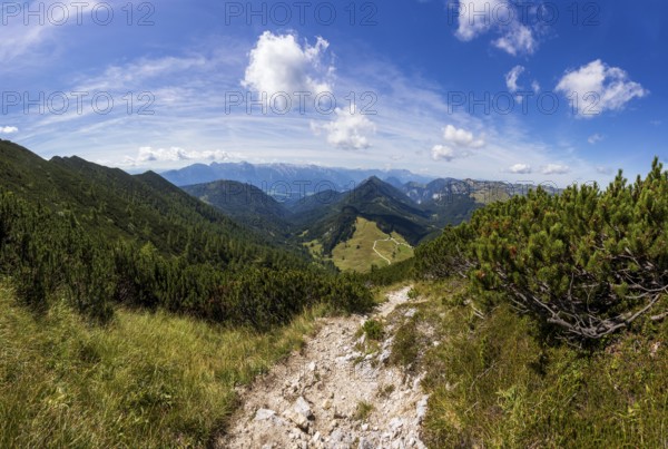 Hiking trail on the Braunedlkogel, Postalm, Osterhorn Group, Salzkammergut, Province of Salzburg,