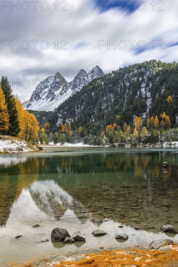 Lake Palpougna, mountain lake, Piz da la Plais, Tschimels, mixed forest with larches (Larix) in