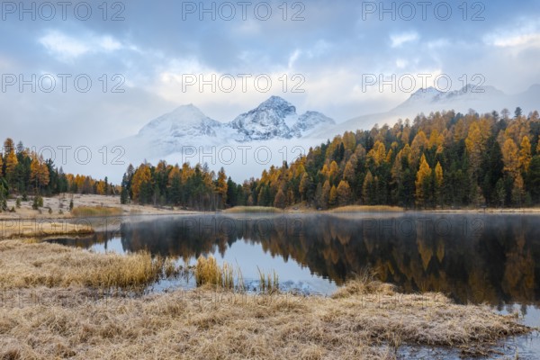 Lake Staz against mountain backdrop, mountain lake, mixed forest with larch (Larix) in autumn