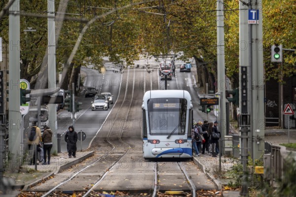 Bogestra tram, line 302 on Alleestraße, driving school, training trip, tram line in the middle of