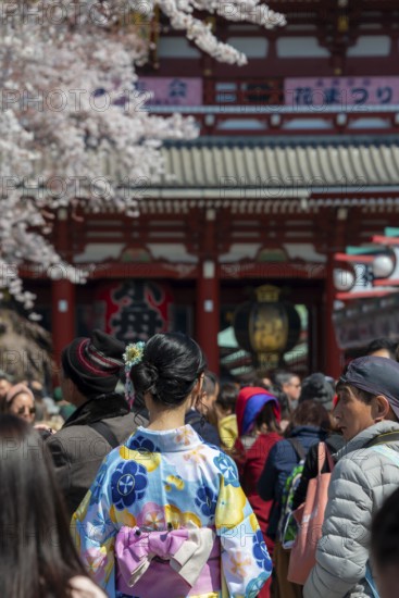 Young Japanese woman wearing kimono surrounded by numerous visitors on Nakamise-dori shopping