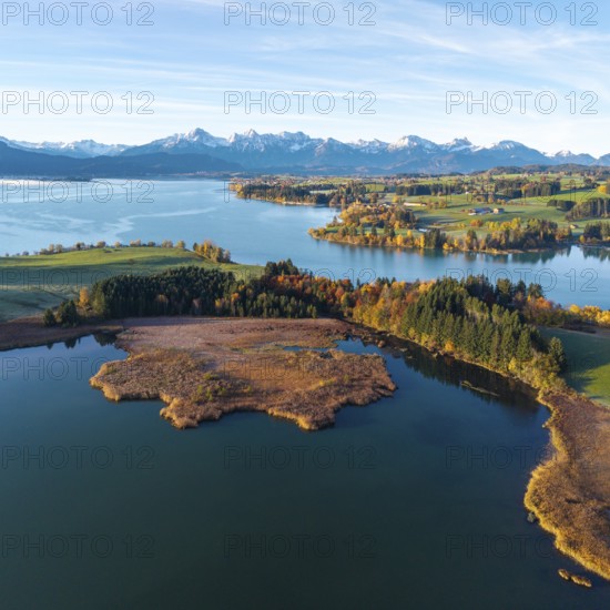Large lake in autumn surroundings with the Alps in the distance under clear skies, Illasbergsee,
