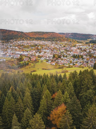 Autumn forest landscape with view of a city surrounded by colorful vegetation and hills under