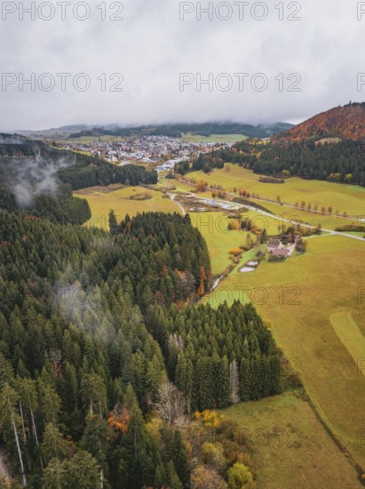 Wide landscape with forest and autumnal hills hidden under thick fog, Wehingen, Tuttlingen