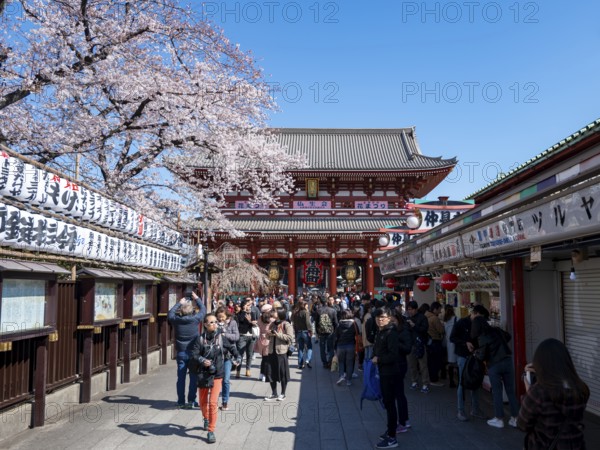 Nakamise-dori shopping street with lanterns, Hozomon Gate of Asakusa Shrine or Senso-ji Temple,