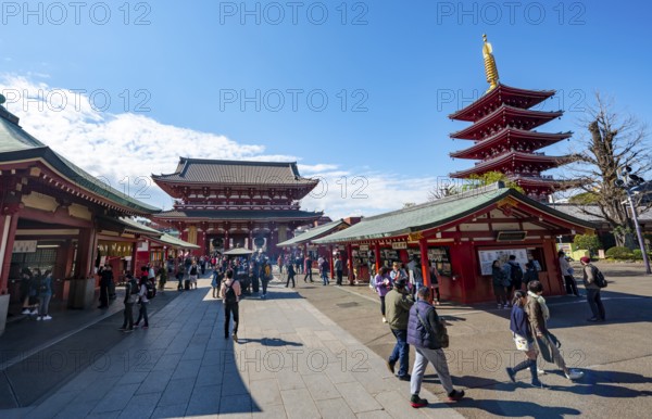 Five-story pagoda and Hozomon treasure chamber gate of Asakusa Shrine or Senso-ji Temple, blooming