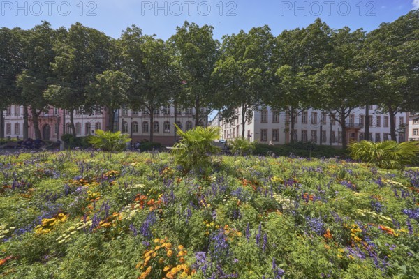Garden area, flower bed, trees, general architecture, pedestrians as a secondary motif, blue sky,