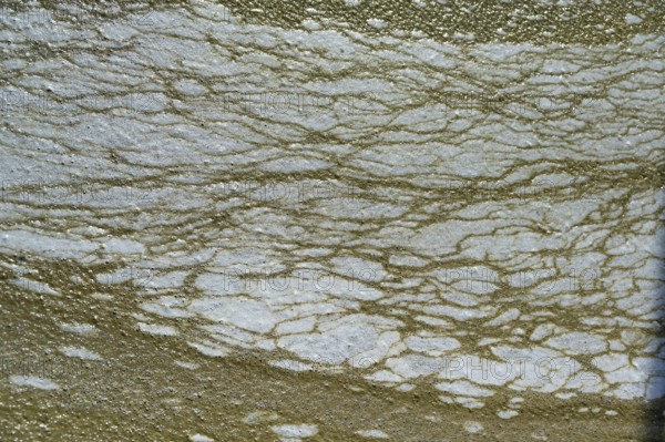 Structure of pollution in the port of Ahrenshoop, Darß, Baltic Sea, Mecklenburg-Western Pomerania,