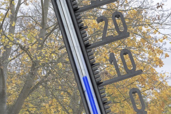 (photo montage) Thermometer in front of autumn-colored deciduous tree shows cool temperatures
