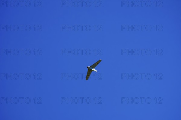 A replica of a Messerschmitt Me 163, a so-called powerhouse, during a flight demonstration at the