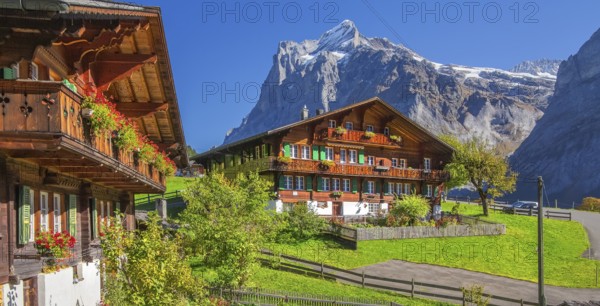 Typical Oberland farmhouses with Wetterhorn 3690m in autumn, Grindelwald, Lütschinental, Bernese