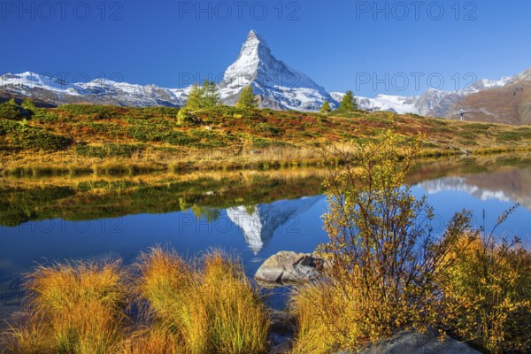 Matterhorn 4478 m with reflection in Leisee on the Sunnegga in autumn, Zermatt, Mattertal, Valais,