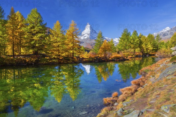 Matterhorn 4478 m with reflection in Lake Grindji in autumn, Zermatt, Mattertal, Valais,