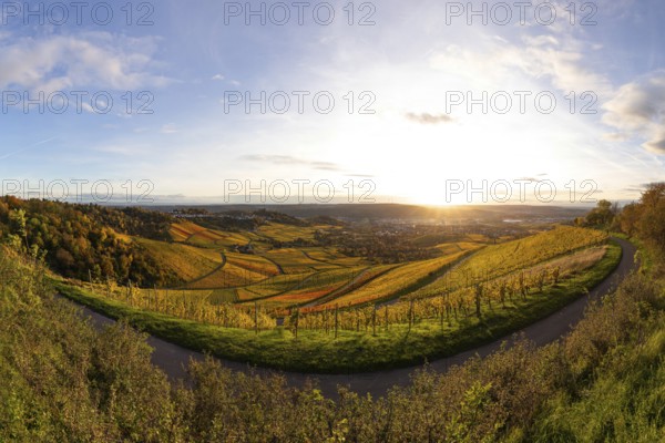 Extensive panorama of the vineyards on Kappelberg near Fellbach in warm evening light with views of