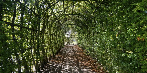 Pergola in Rheinsberg Castle Park, Ruppiner Land, Brandenburg, Germany