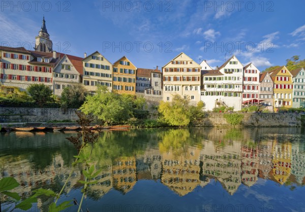 Historic houses on the Neckar front, the Neckar river, water reflection, old town of Tübingen,
