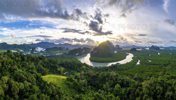 Banner background of tropical forest landscape scene, green wild jungle, cloudy sky at morning,