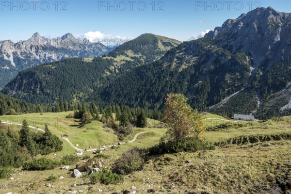 View from the Saalfelder Höhenweg to Schartschrofen and Rote Flüh, Tannheimer Tal, Allgäu Alps,