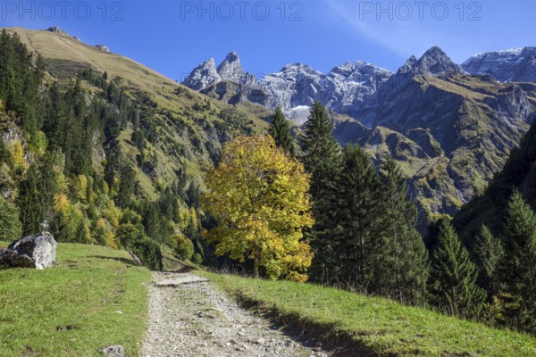 Hiking trail in Bacherloch Valley, back mountains of the Allgäu Alps with Trettachspitze,