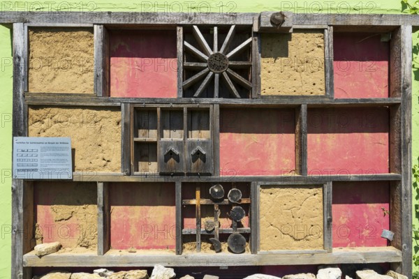 Tierhotel, insect hotel, nesting aid for insects, Kronach, Upper Franconia, Franconia, Bavaria,