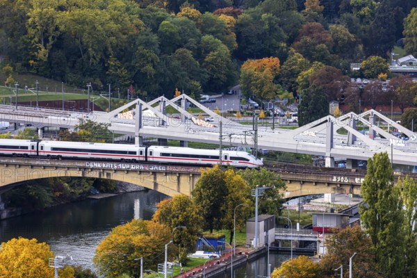 Bridges across the Neckar in Bad Cannstatt with Rosenstein Park. The ICE is still running on the