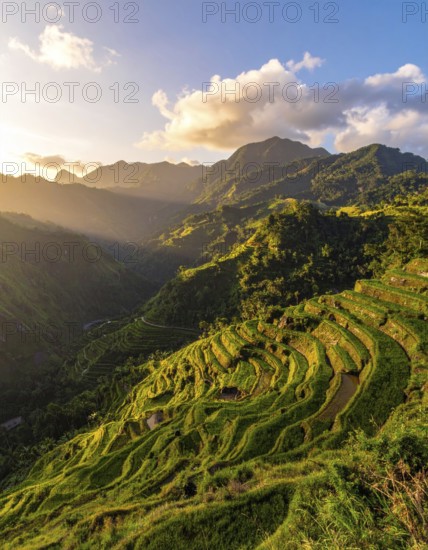 Early morning light bathes Philippines rice terraces cascading down mountain slopes, beautiful
