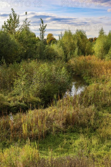 Bottrop, North Rhine-Westphalia, Germany - Autumn on the restored Boye, the tributary of the