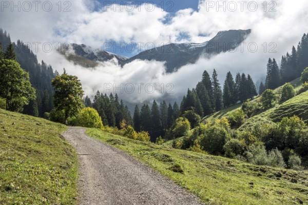 Hiking trail in the Dietersbachtal from Gerstruben to Alpe Dietersbach, Nebelschwanden hang in the