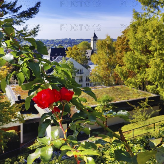 Konrad Adenauer House, view from the garden of St. Mary's Church, Stiftung