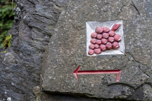 Guide to the red wine hiking trail in the Ahr Valley, logo, here near Altenahr,