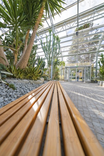 Modern greenhouse with wooden benches filled with tropical plants, Überlingen, Lake Constance,